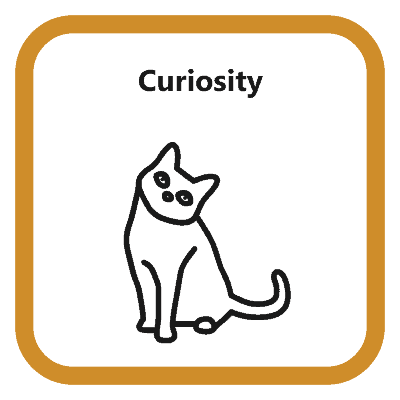 Curiosity2 EN Curiosity2 EN