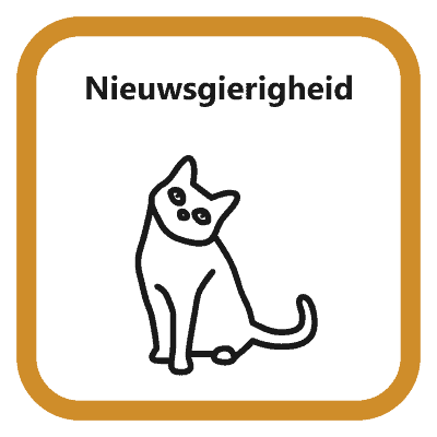 Nieuwsgierigheid2 NL Curiosity2 EN